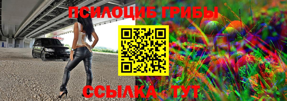 Псилоцибиновые грибы мицелий Сафоново